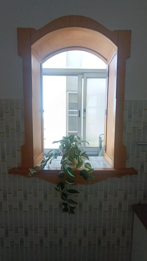 B&B L'Orchidea Pisa Luaran gambar